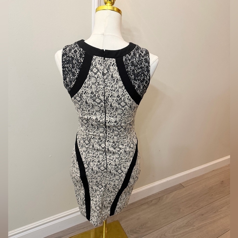 Parker Black and White Lace Mini Dress - Picture 6 of 9